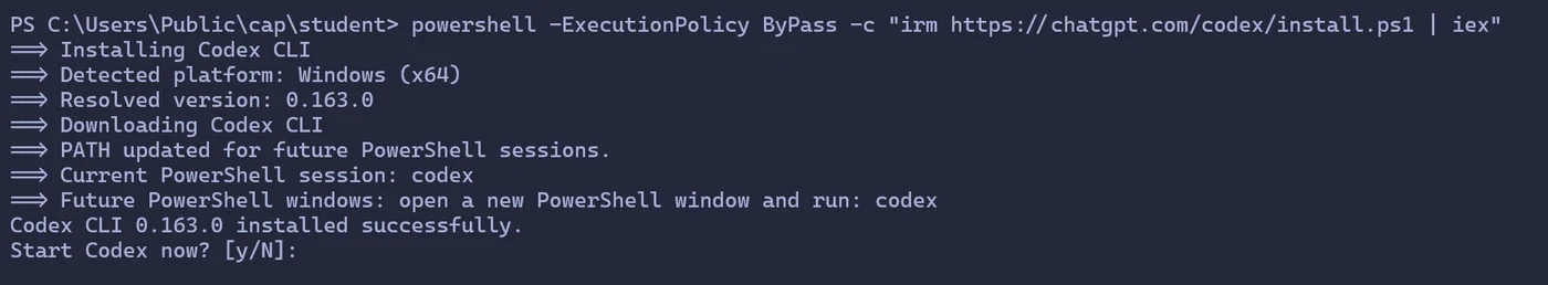 PowerShell에서 코덱스 설치 명령을 실행한 결과. Resolved version 0.163.0, PATH updated for future PowerShell sessions, Codex CLI 0.163.0 installed successfully, Start Codex now? [y/N]가 차례로 나온다