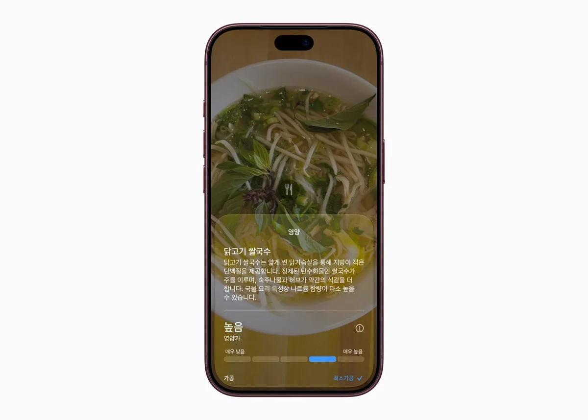 아이폰 카메라 시리 모드로 닭고기 쌀국수를 비추자 영양 정보 카드가 뜬 화면