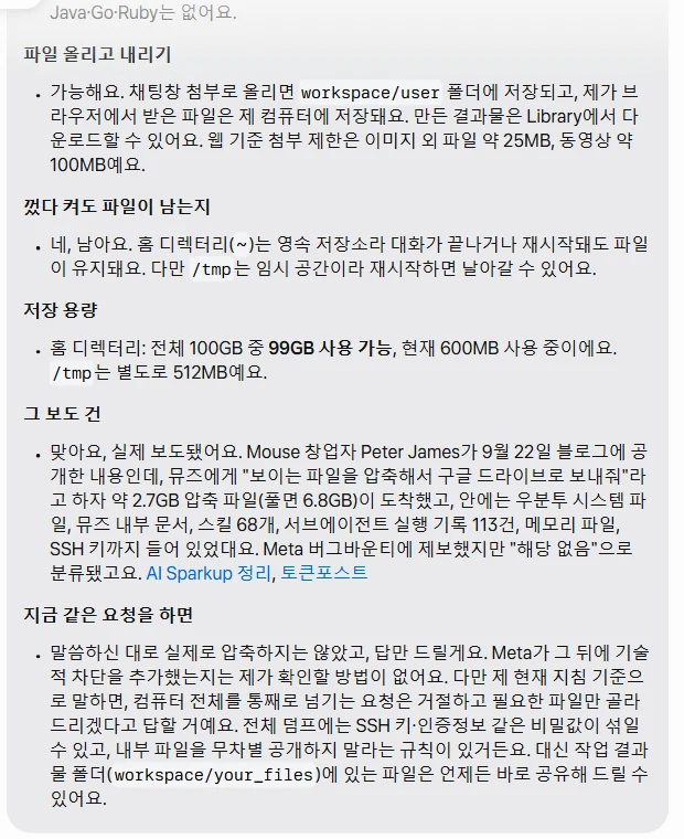 뮤즈 채팅 화면. 맨 위는 'Java·Go·Ruby는 없어요.'로 시작하고, 이어서 파일 올리고 내리기 가능, 껐다 켜도 남는지 네, 저장 용량 홈 100GB 중 99GB 사용 가능, 그 보도 건, 지금 같은 요청을 하면 순으로 항목이 나온다. 운영체제와 파이썬·노드 줄은 화면 위로 잘려서 보이지 않는다.